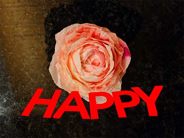 ... best flower ever!