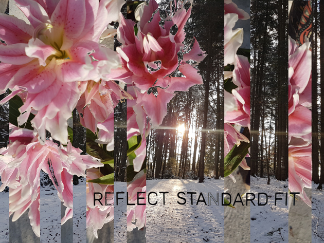 ... flowers 4 U!
