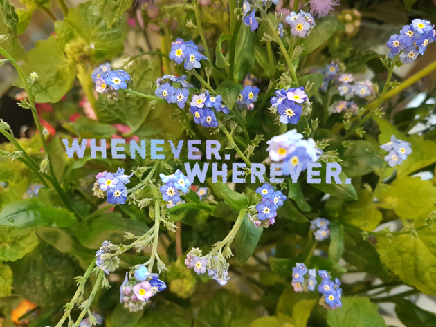 ... true blue!
