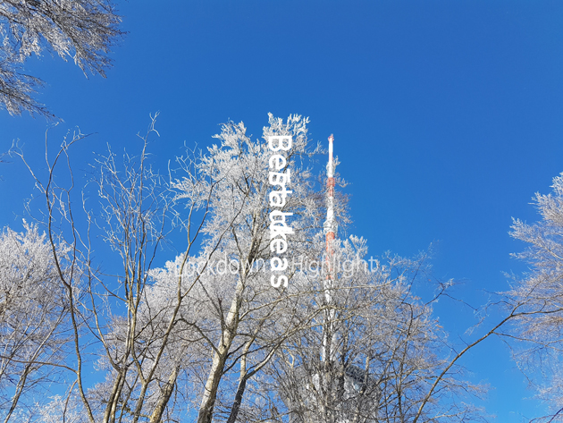 ... white frost!