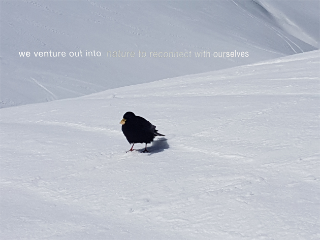 ... what a clever bird!