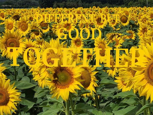 ... yellow 4 U!
