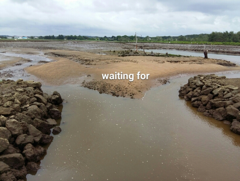 Keep walking