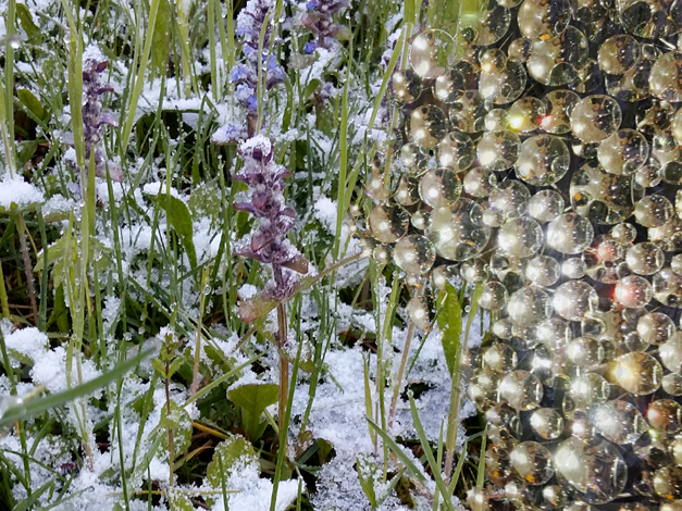 Cold walk