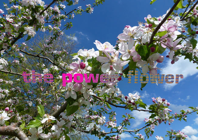 May walk