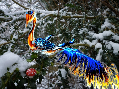 Ice walk