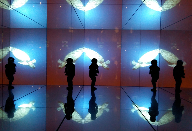 Mirroring walk