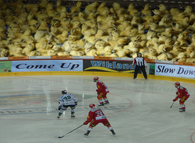 Hockey walk