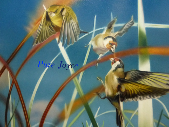 Birds walk