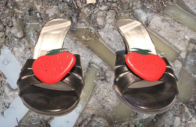 Strawberry walk