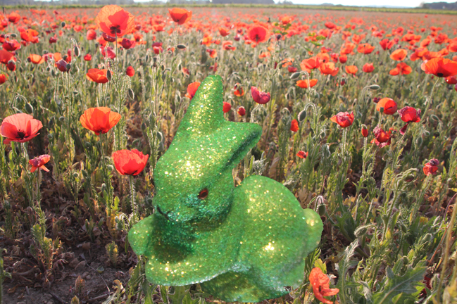 Poppy walk