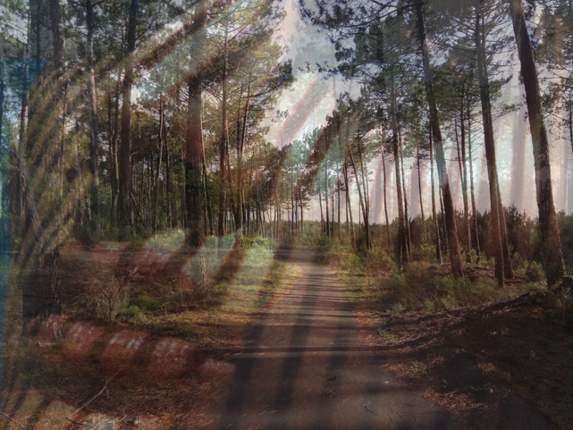 Ranking walk