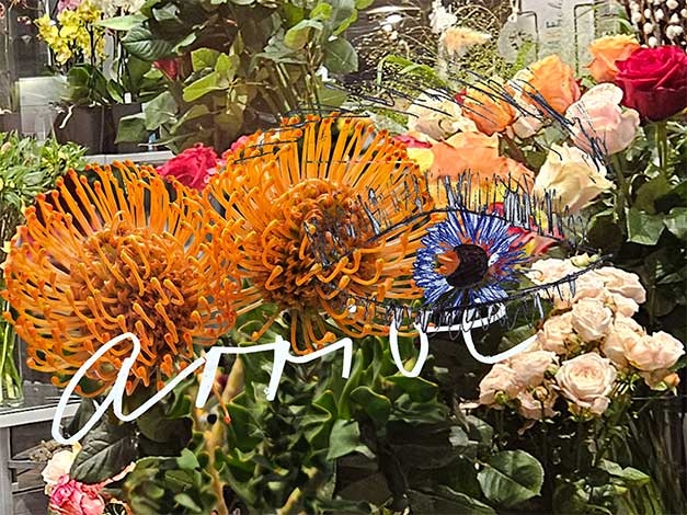 ... love any flower!