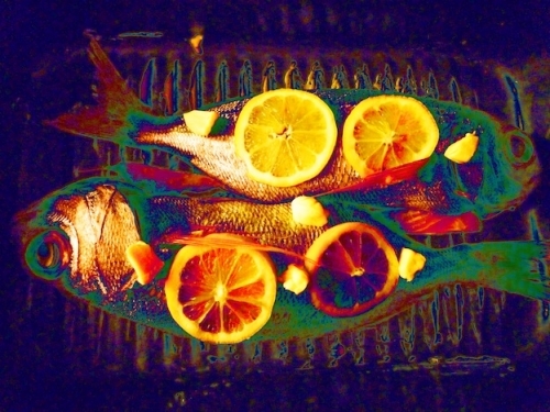 Fish walk