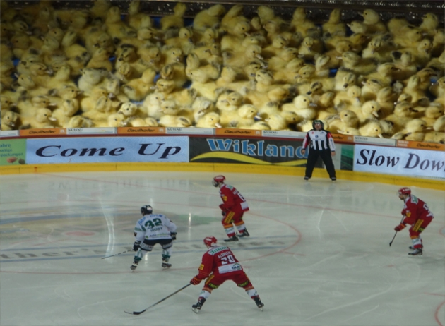 Hockey walk