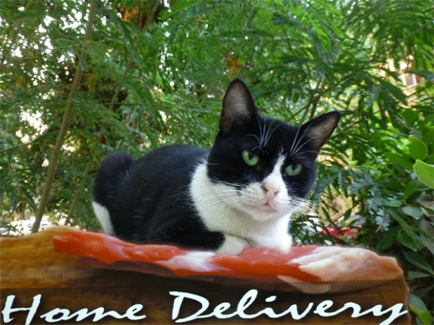 Delivery walk