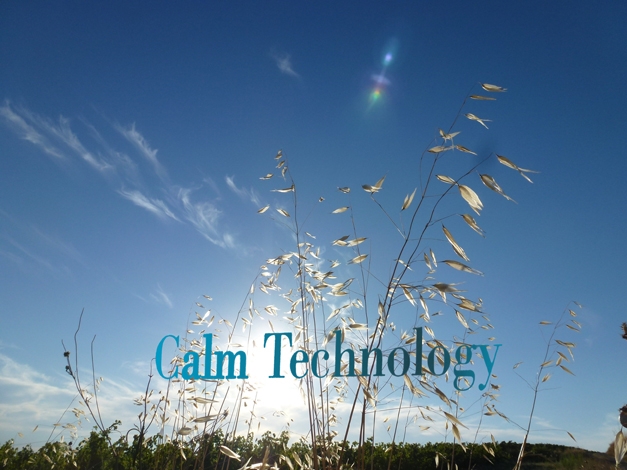 Calm walk